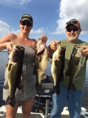 glades bassin south florida bass fishing tours